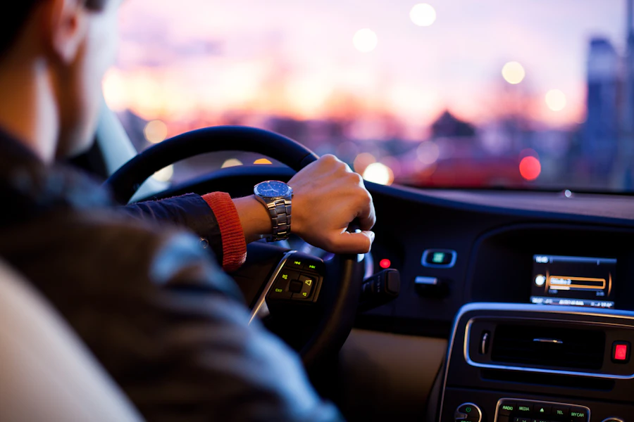 Driver at the wheel at night